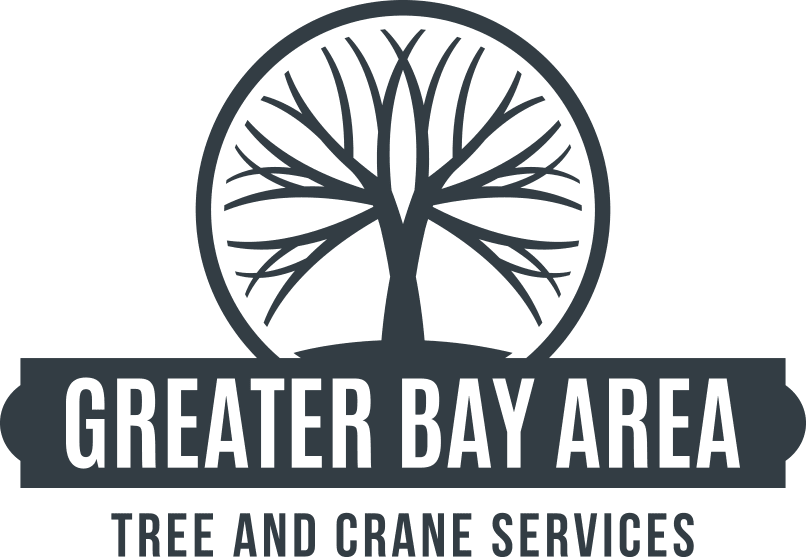 Greater Bay Tree and Crane Services
